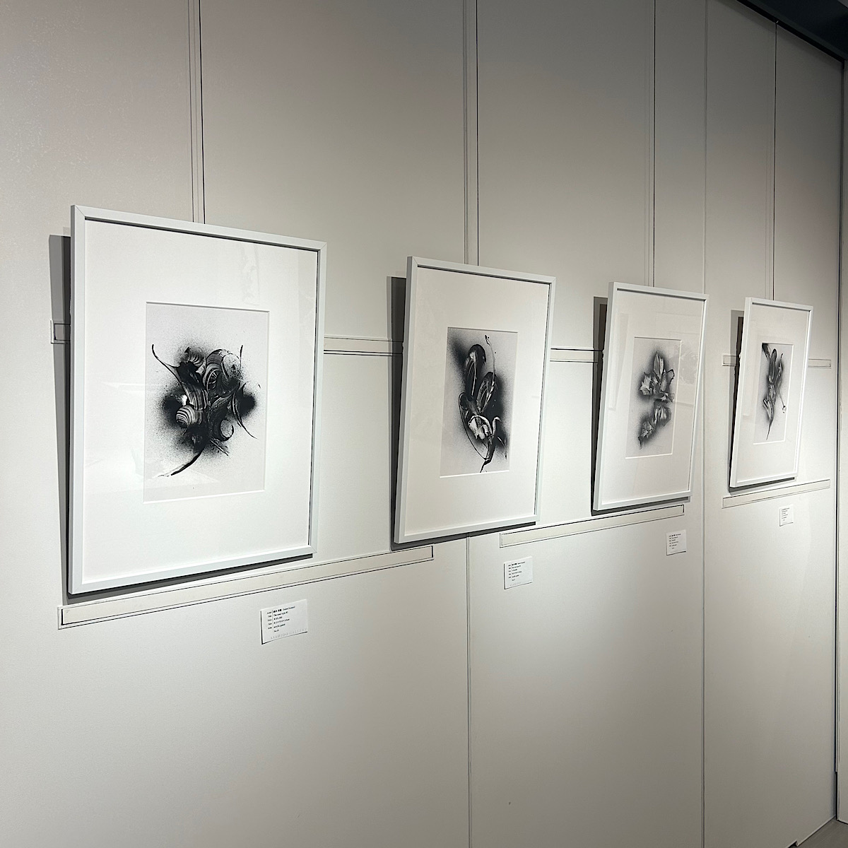「鈴木清麗 展  ARCHETYPE －名前を持たぬ存在を求めて」(2026年5月30(土) – 6月24(水)／パレスホテル東京 B1階 ASAHIDO GALLERY)<